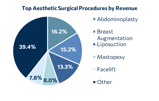 Aesthetic Healthcare - Top Aesthetic Surgical Procedures by Revenue